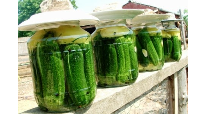 Kovászos uborka recept és jótékony hatásai