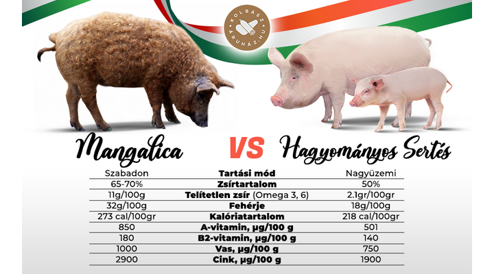 Mangalica és hagyományos hibrid sertés - Miben különböznek?